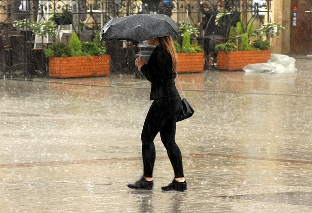 alicja-rain-3529738_640