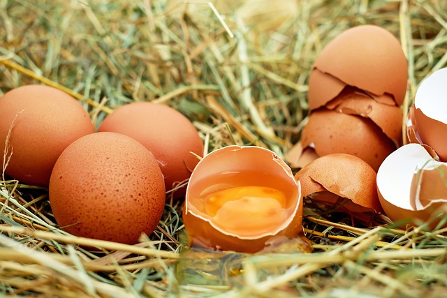 couleur-eggs-1510449_640